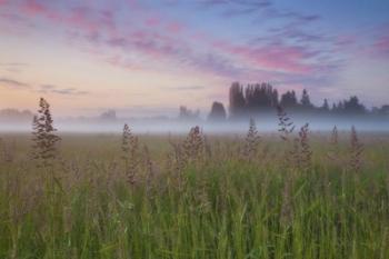 Battle Ground Sunrise | Obraz na stenu