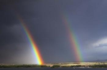 Natures Twin Towers | Obraz na stenu