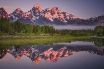 Teton Awakening | Obraz na stenu