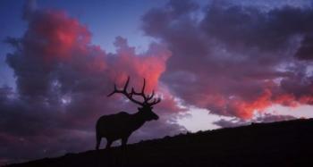 Sunset in the Rockies | Obraz na stenu