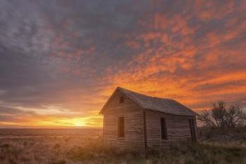 Sunset on the Prairie | Obraz na stenu