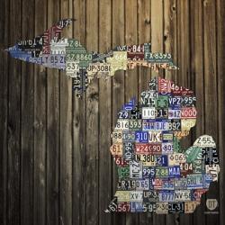 Michigan Counties License Plate | Obraz na stenu