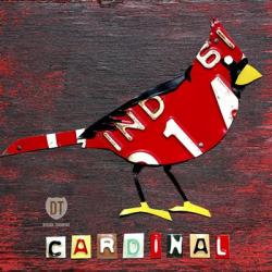 Indiana Cardinal | Obraz na stenu