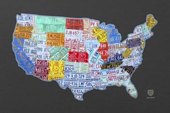 Massive Usa License Plate Map | Obraz na stenu