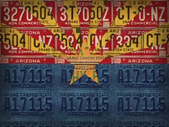 Arizona State Flag License Plates | Obraz na stenu