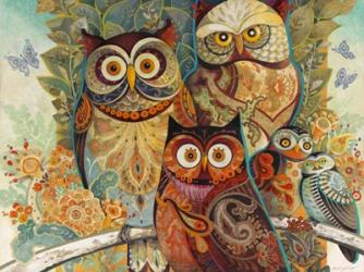 Owls | Obraz na stenu