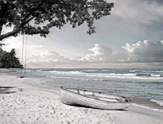 Tree Swing and a Row Boat B | Obraz na stenu