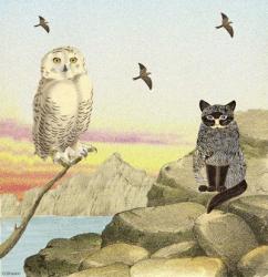 Owl and Pussycat 13 | Obraz na stenu