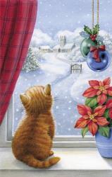 Kitten Christmas With Pointsettia | Obraz na stenu