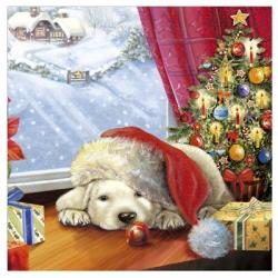 Puppy Snug and Christmas Tree | Obraz na stenu