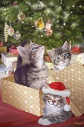 Kittens and Butterfly Under The Tree | Obraz na stenu
