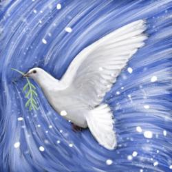 Dove In The Winter Wind | Obraz na stenu