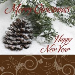 Merry Christmas Happy New Year Acorn Snow | Obraz na stenu