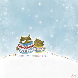 Merry Christmas Owl Couple | Obraz na stenu