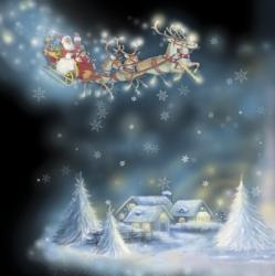 Santa's Starry Snowflake Ride | Obraz na stenu