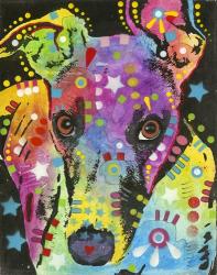 Curious Greyhound | Obraz na stenu