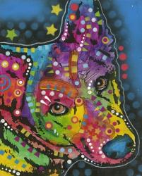 Colorful Dog on Blue | Obraz na stenu