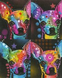 Four Chihuahuas | Obraz na stenu