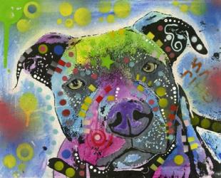 Colorful Pit Bull | Obraz na stenu