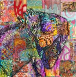Iguana | Obraz na stenu