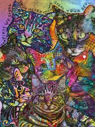 Bed Cats | Obraz na stenu