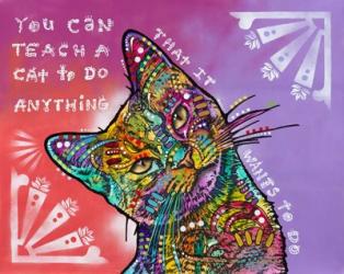 You can teach a cat | Obraz na stenu
