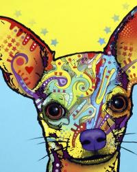 Chihuahua I | Obraz na stenu