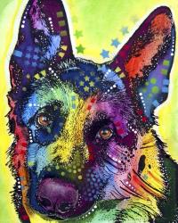 German Shepherd | Obraz na stenu