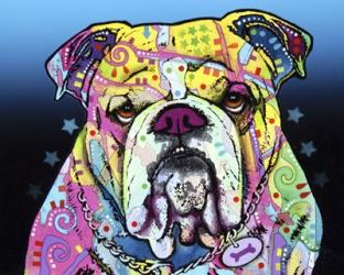 The Bulldog | Obraz na stenu