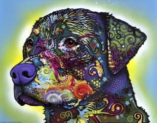 The Rottweiler | Obraz na stenu