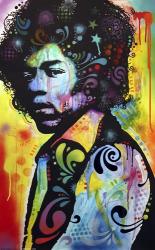 Hendrix | Obraz na stenu