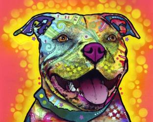 Dewey Pit Bull | Obraz na stenu