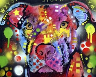 The Brooklyn Pit Bull | Obraz na stenu