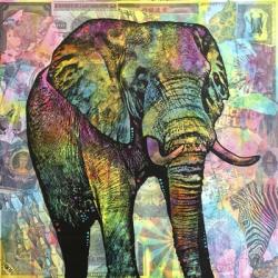 Elephant Torn | Obraz na stenu