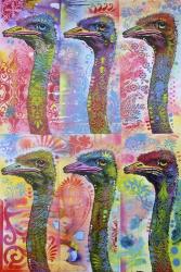 6 Ostriches | Obraz na stenu
