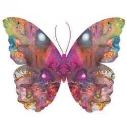 Abstract I Butterfly | Obraz na stenu