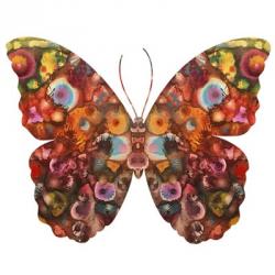 Kamasi Butterfly | Obraz na stenu