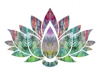 Lotus | Obraz na stenu