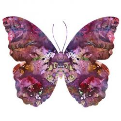 Cinematic Butterfly | Obraz na stenu