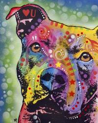 Thoughtful Pit Bull White Bubble | Obraz na stenu