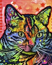 Cat | Obraz na stenu