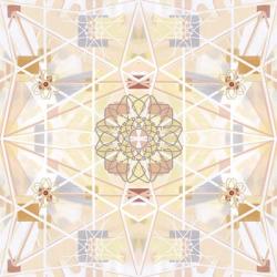 Earthy Flower | Obraz na stenu