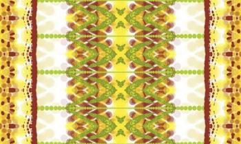 Lime Pattern | Obraz na stenu