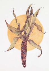 Indian Corn | Obraz na stenu