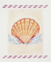 Shell Cardita | Obraz na stenu