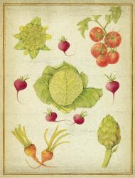 Les Beaux Legumes (The Beautiful Vegetables) Vintage | Obraz na stenu