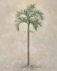 Palm Tree 4 | Obraz na stenu