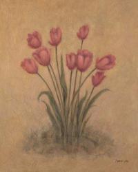 Bunch of Red Tulips | Obraz na stenu