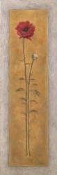 Tall Red Poppy W/Bud Right | Obraz na stenu