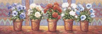 Row Of Flower Pots - A | Obraz na stenu